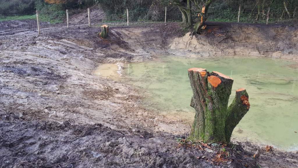 Robinswood-Gloucs-completed-pond-restorations-Andy-Buxton-27th-Nov-2019-7-1