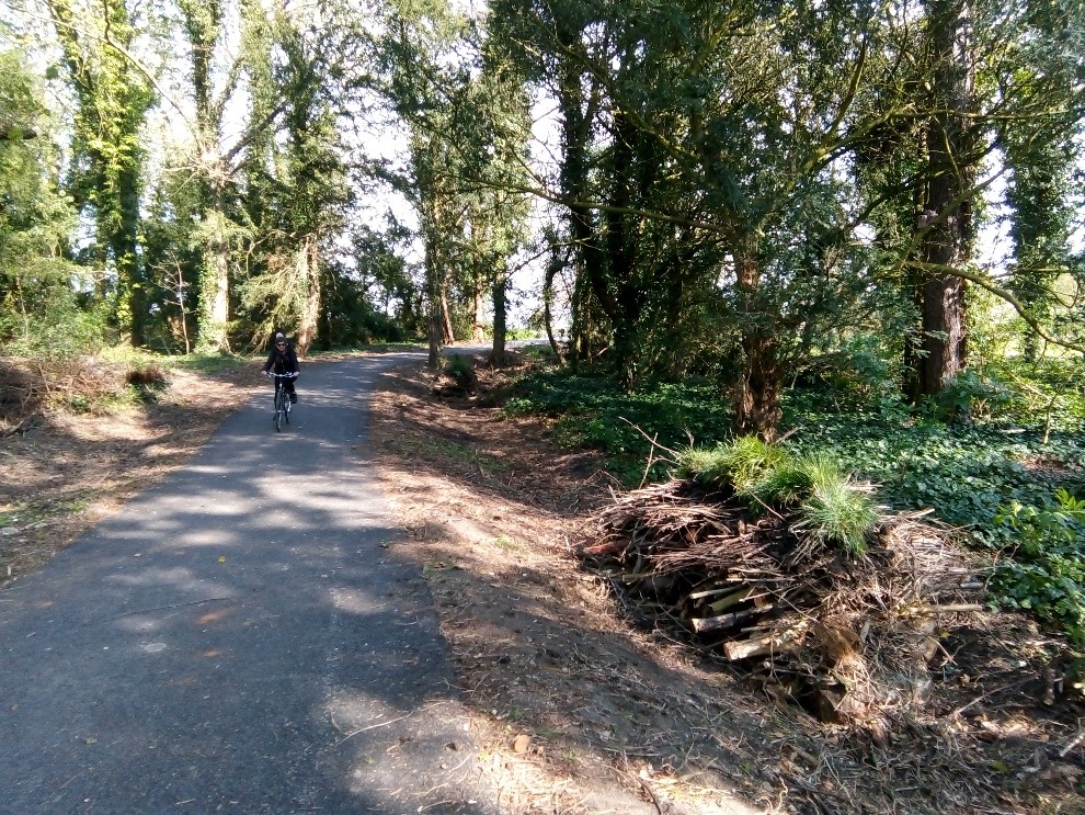 wassesdongreenway