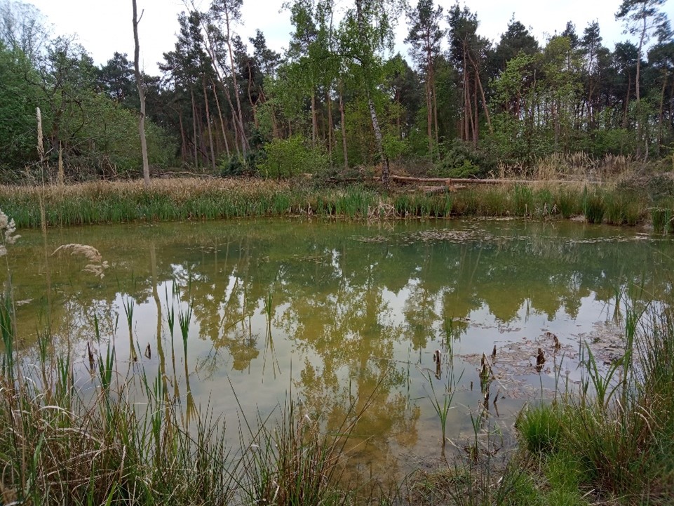 Cherwell Pond creation
