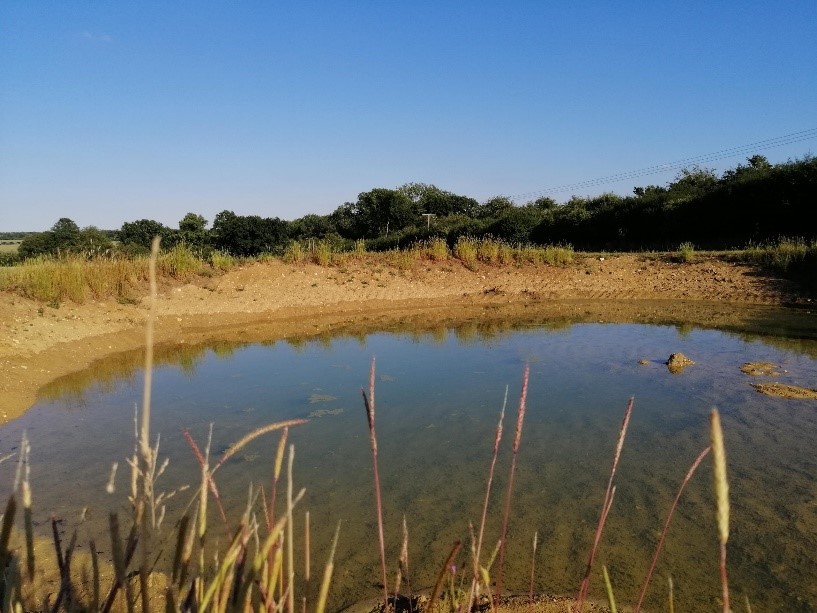 West Northampstonshire Council Pond