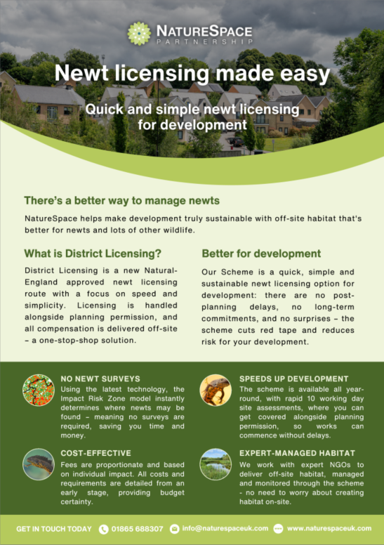 Developer Flyer Cover