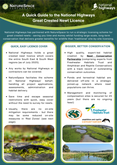National Highways Quick Guide Cover